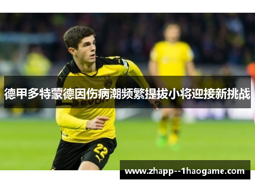 德甲多特蒙德因伤病潮频繁提拔小将迎接新挑战