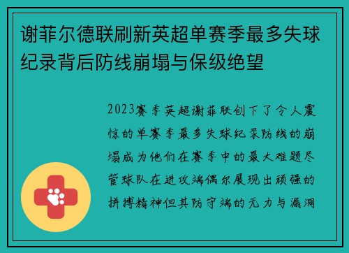 谢菲尔德联刷新英超单赛季最多失球纪录背后防线崩塌与保级绝望 谢菲尔德联刷新英超单赛季最多失球纪录背后防线崩塌与保级绝望